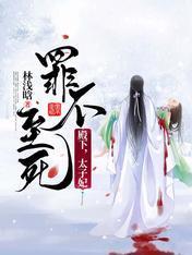 殿下，太子妃罪不至死封面