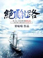 绝顶航路封面