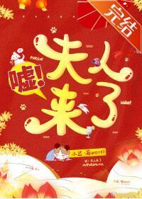 嘘！夫人来了封面