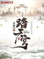 踏天穹封面