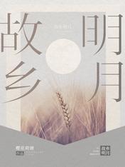 故乡明月封面
