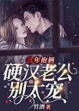 三年抱俩，硬汉老公别太宠封面