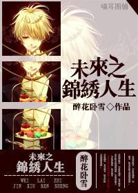 未来之锦绣人生封面