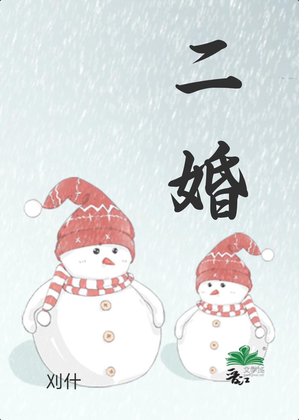 二婚封面