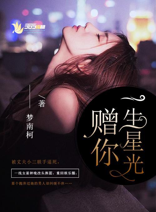 赠你一生星光封面