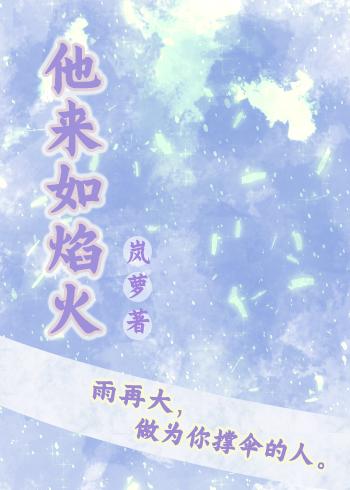 他来如焰火封面