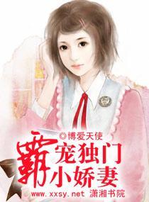 霸宠独门小娇妻封面