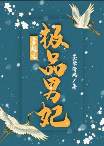 穿越之极品男妃封面