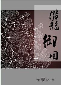潜龙御用封面