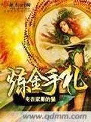 炼金手札封面