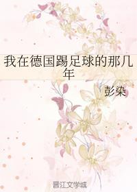 我在德国踢足球的那几年封面