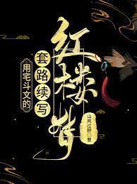 用宅斗文的套路续写红楼梦封面