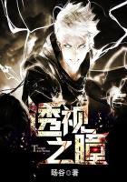 透视之瞳封面