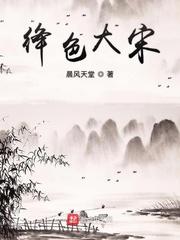绛色大宋封面