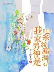 我家男神是系统漏洞封面