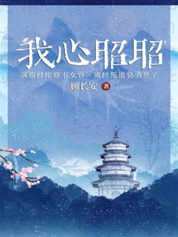 我心昭昭封面