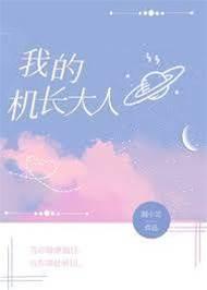 我的机长大人 番外封面