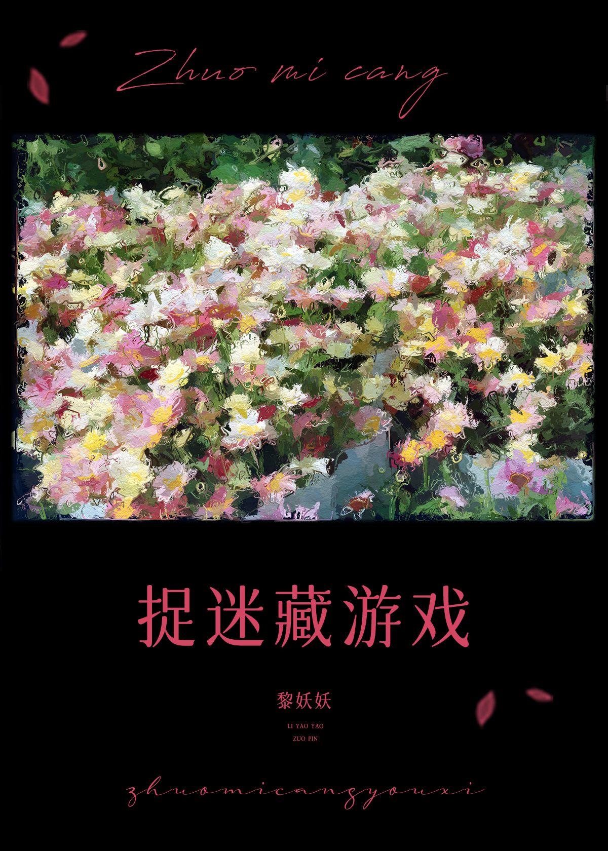 捉迷藏游戏封面