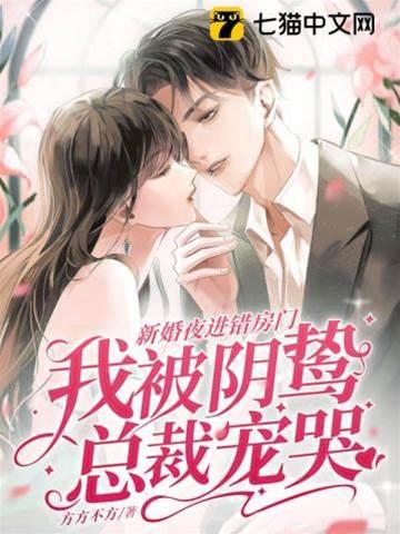 新婚夜进错房门，我被阴鸷总裁宠哭封面