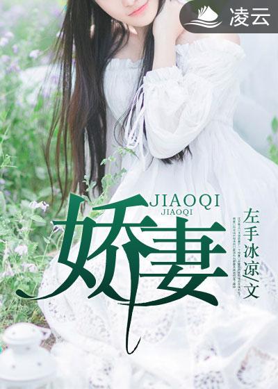 娇妻封面