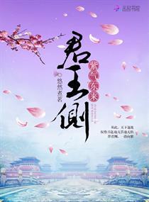 君王侧：紫气东来封面