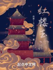 红楼玉阙封面