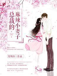 总裁的麻辣小妻子封面