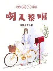爱成夕阳，吻入黎明封面