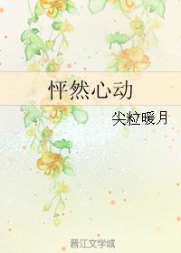 怦然心动封面