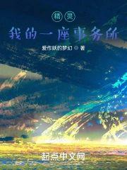 精灵：我的一座事务所封面