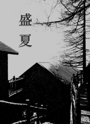 盛夏封面