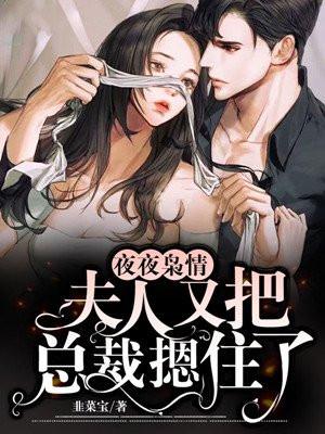 夜夜枭情：夫人又把总裁摁住了封面