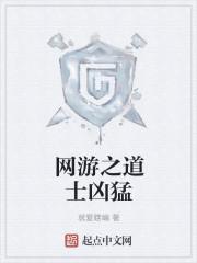 网游之道士凶猛封面