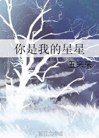 你是我的星星封面