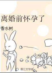 离婚前怀孕了封面