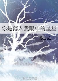 你是落入我眼中的星星封面