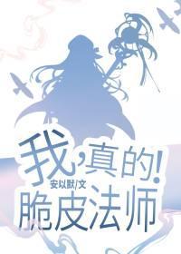 我，脆皮法师，真的封面