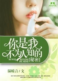 你是我不为人知的秘密封面