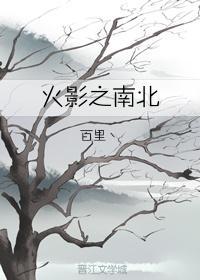 火影之南北封面