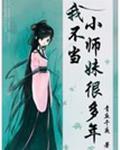 我不当小师妹很多年封面