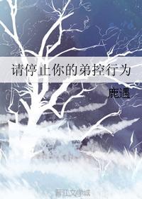 请停止你的弟控行为封面