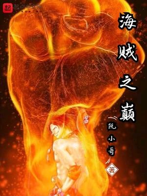 海贼之巅封面