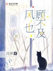 风也顾不及封面
