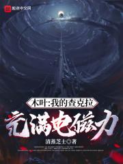木叶：我的查克拉充满电磁力封面