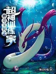 神奇宝贝之超神训练家封面