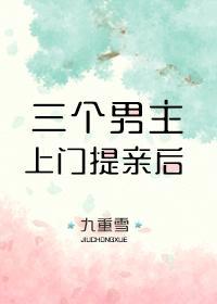 三个男主上门提亲后封面