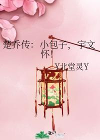 楚乔传：小包子，宇文怀！封面