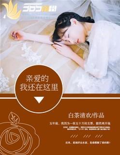 我还在原地等你封面