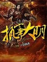 执宰大明朱元青封面