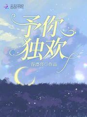 予你独欢封面